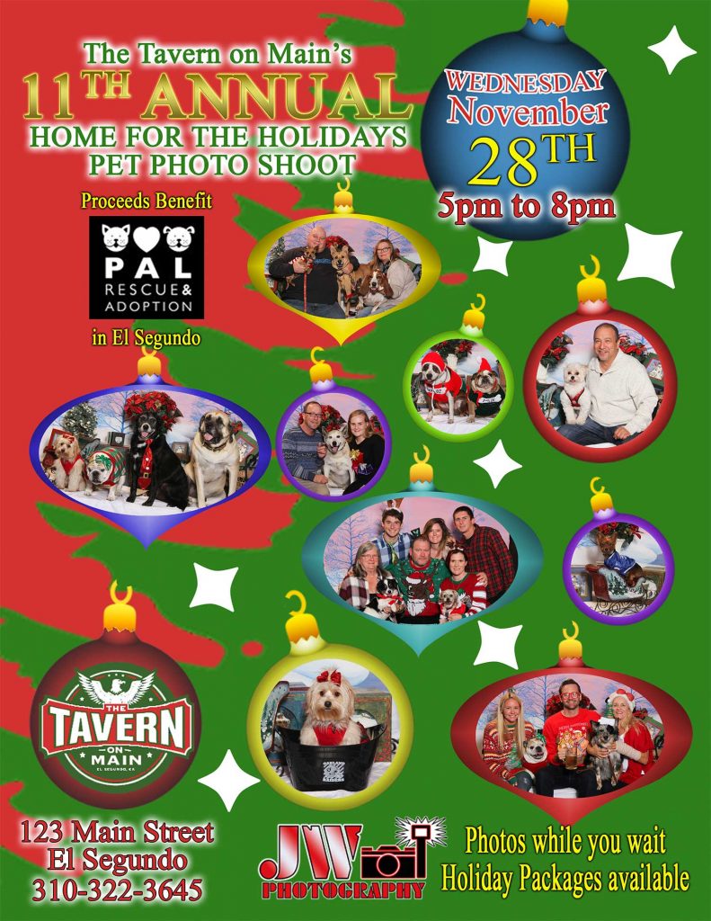 11th Annual Home for the Holidays Pet Photo Shoot at The Tavern on Main
